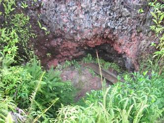 the changing area for the hot nice cave (Pahoa)